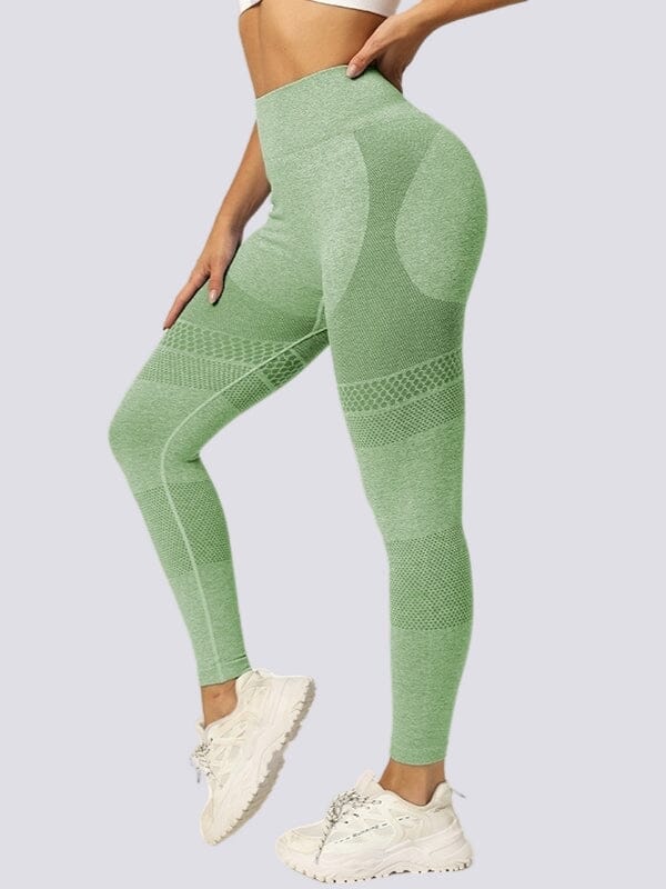 Legging Sans Couture Galbant - Édition limitée Leggings helankezatrening.com sa Vert