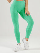 Legging Taille Haute Sans Couture Sport - Esperanza helankezatrening.com sa Vert