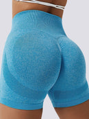 Short Fitness Push Up Sport Shorts helankezatrening.com sa Bleu ciel