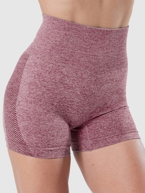 Short Sport Fitness Taille Haute Sans Couture Shorts helankezatrening.com sa Bordeaux